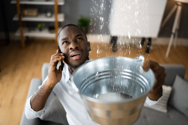 Best Residential water damage restoration  in Union City, TN