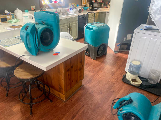 Best Water damage restoration near me  in Union City, TN