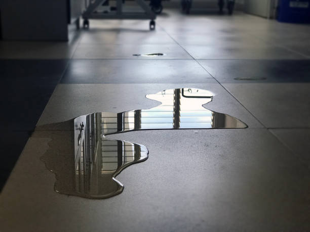 Best 24/7 water damage repair  in Union City, TN