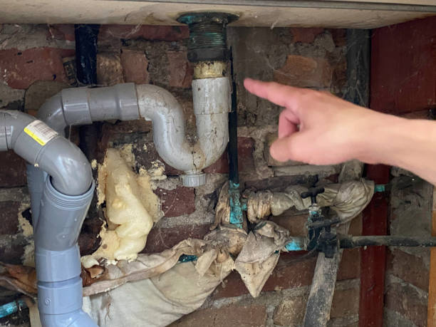Best Professional water damage repair  in Union City, TN