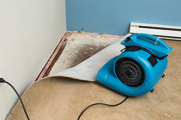 Best Water damage restoration near me  in Union City, TN